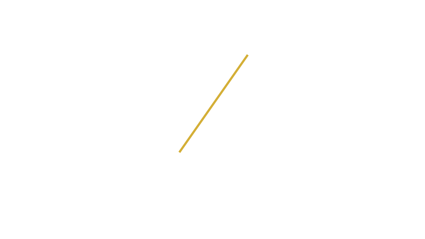 Maylee van Dijk - Consultancy
